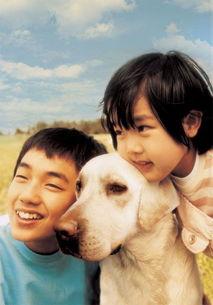 人狗奇缘,跨越物种的深情羁绊