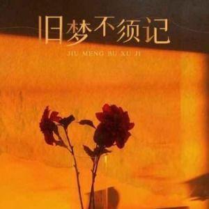 旧梦不须记